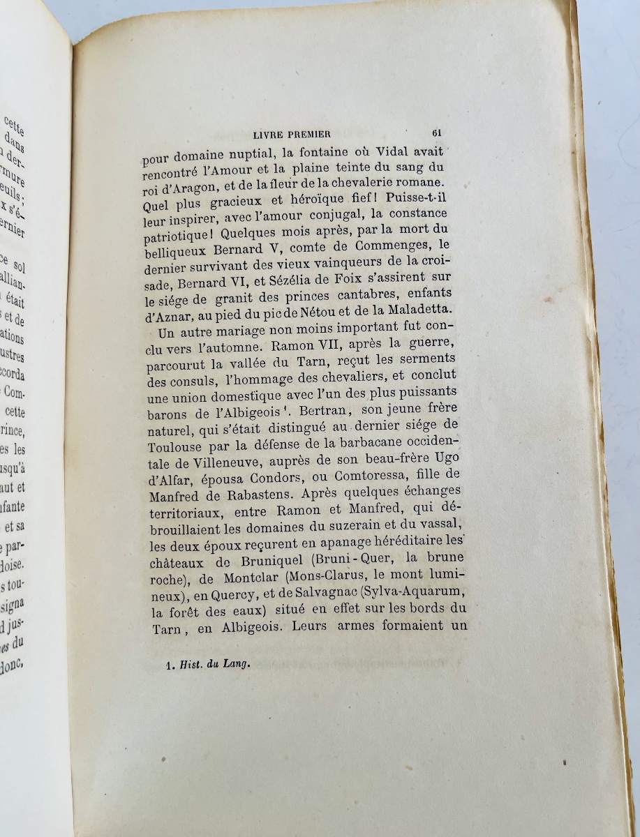 Histoire des Albigeois - Les albigeois et l’inquisition -photo-3